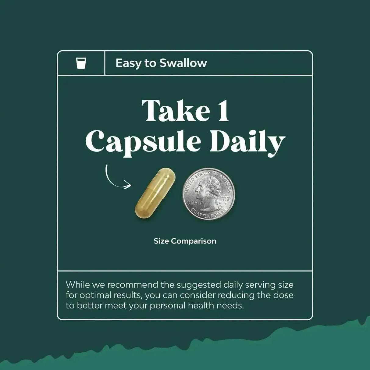 NATURES CRAFT - Natures Craft Green Coffee Bean Extract 60 Capsulas - The Red Vitamin MX - Suplementos Alimenticios - {{ shop.shopifyCountryName }}