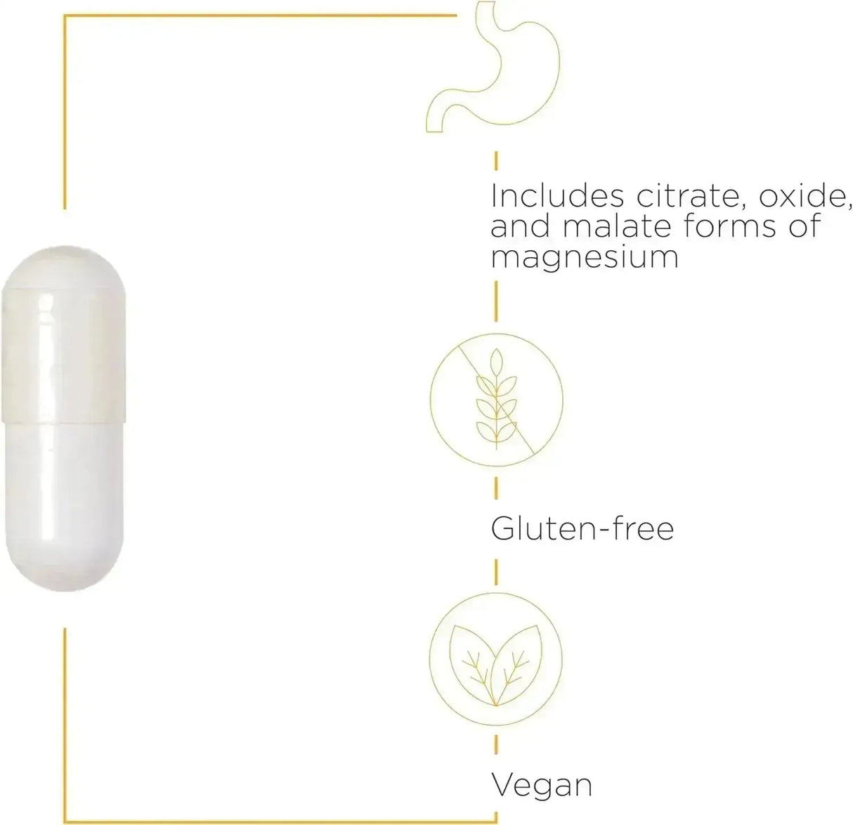 INTEGRATIVE THERAPEUTICS - Integrative Therapeutics Tri-Magnesium 90 Capsulas 2 Pack - The Red Vitamin MX - Suplementos Alimenticios - {{ shop.shopifyCountryName }}