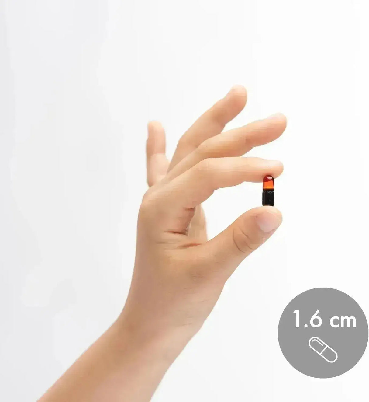 DR MERCOLA - Dr. Mercola Krill Oil for Kids 60 Capsulas - The Red Vitamin MX - Suplementos Alimenticios - {{ shop.shopifyCountryName }}