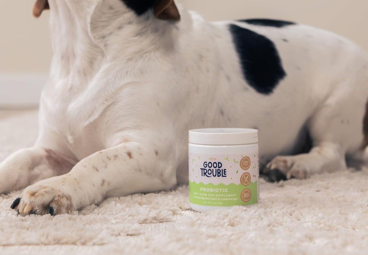 Good Trouble Pets Probiotic Supplement for Dogs Chicken Flavor 30 Masticables 2 Pack