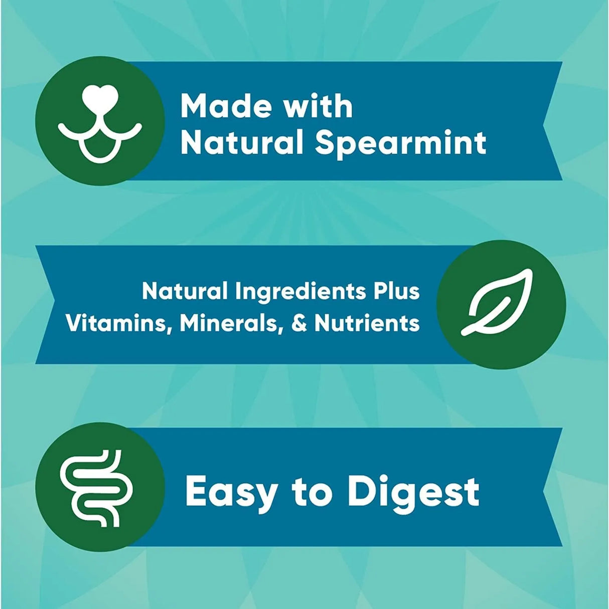 GREENIES - Greenies Anytime Bites Dog Treats Mint Flavor 292Gr. - The Red Vitamin MX - Cuidado Dental Para Perros - {{ shop.shopifyCountryName }}