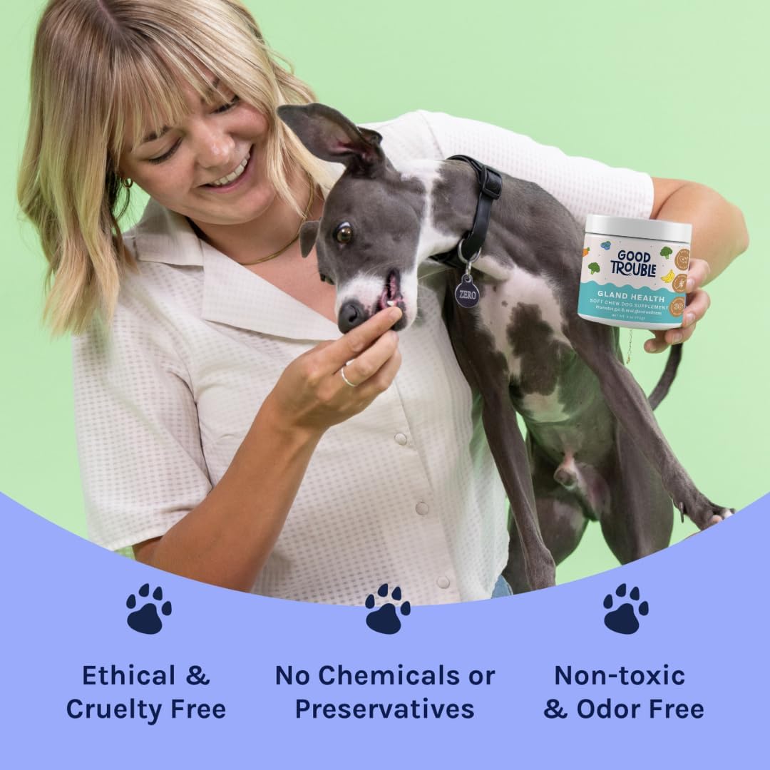 Good Trouble Gland Health Soft Chew Supplements for Dogs 30 Masticables 2 Pack