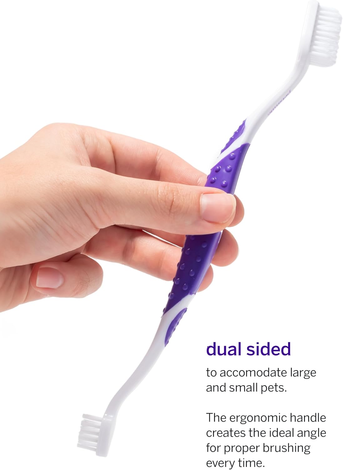 Petsmile Professional Pet Teeth Brushing Kit for Cats & Dogs London Broil 2.5 Oz