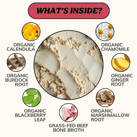 FIDO'S - Fido's Digestion Bone Broth for Dogs 60 Servicios 184Gr. - The Red Vitamin MX - Suplementos Herbales Para Perros - {{ shop.shopifyCountryName }}