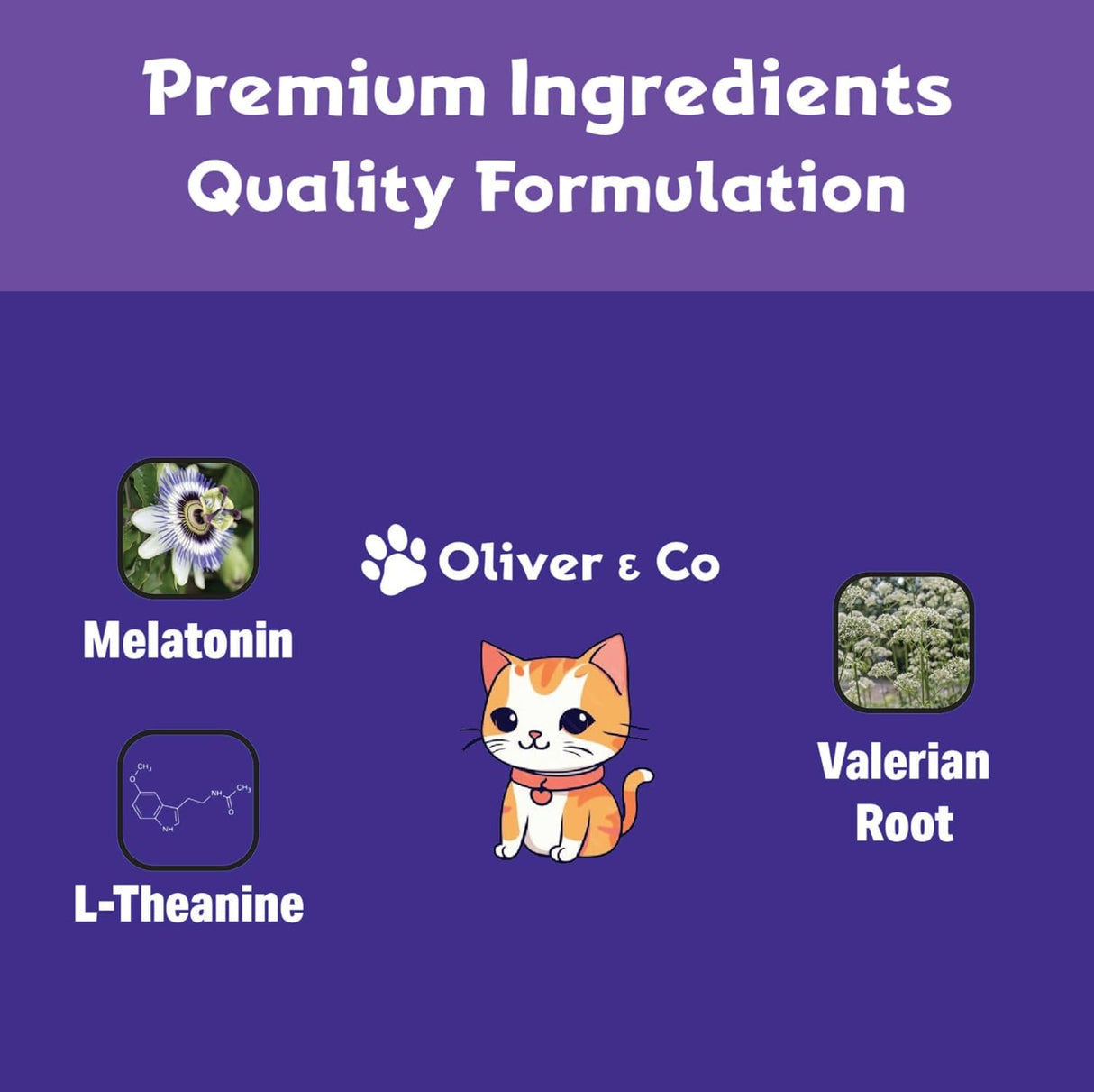 Oliver & Co. Cat Melatonin 1 Fl.Oz.