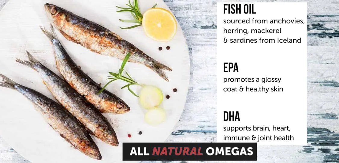 ZENPAWS - Zenpaws Omega 3 Fish Oil for Dogs 180 Tabletas Masticables - The Red Vitamin MX - Aceite De Pescado Para Perros - {{ shop.shopifyCountryName }}