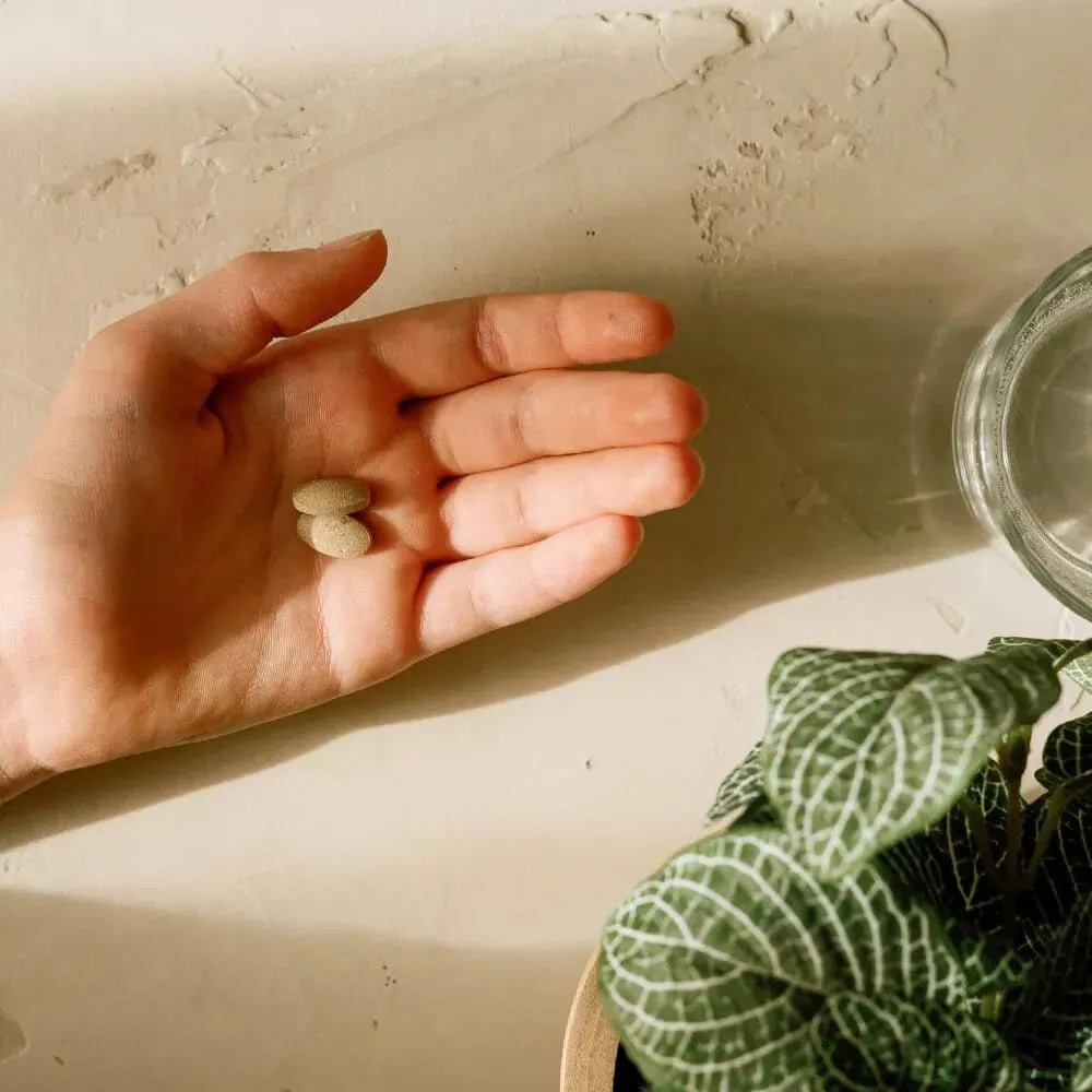 BANYAN - Banyan Botanicals Women’s Natural Transition 90 Tabletas - The Red Vitamin MX - Suplementos Alimenticios - {{ shop.shopifyCountryName }}