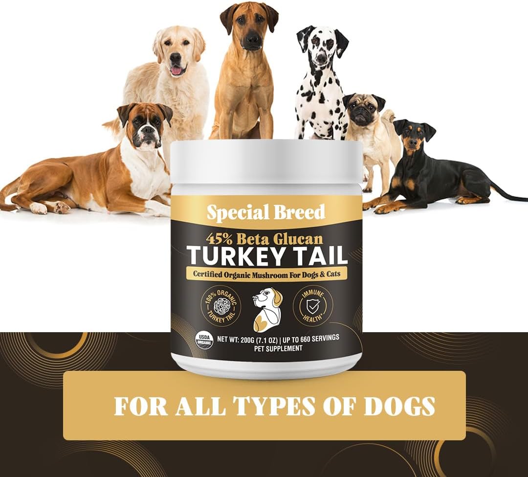 SPECIAL BREED - Special Breed Organic Turkey Tail Mushroom for Dogs 200Gr. - The Red Vitamin MX - Suplementos Herbales Para Perros - {{ shop.shopifyCountryName }}