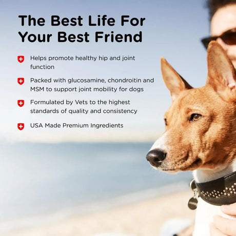 NUTRI-VET - Nutri-Vet Hip & Joint Chewable Dog Extra Strength 75 Tabletas Masticables - The Red Vitamin MX - Cuidado De Cadera Y Articulaciones Para Perros - {{ shop.shopifyCountryName }}