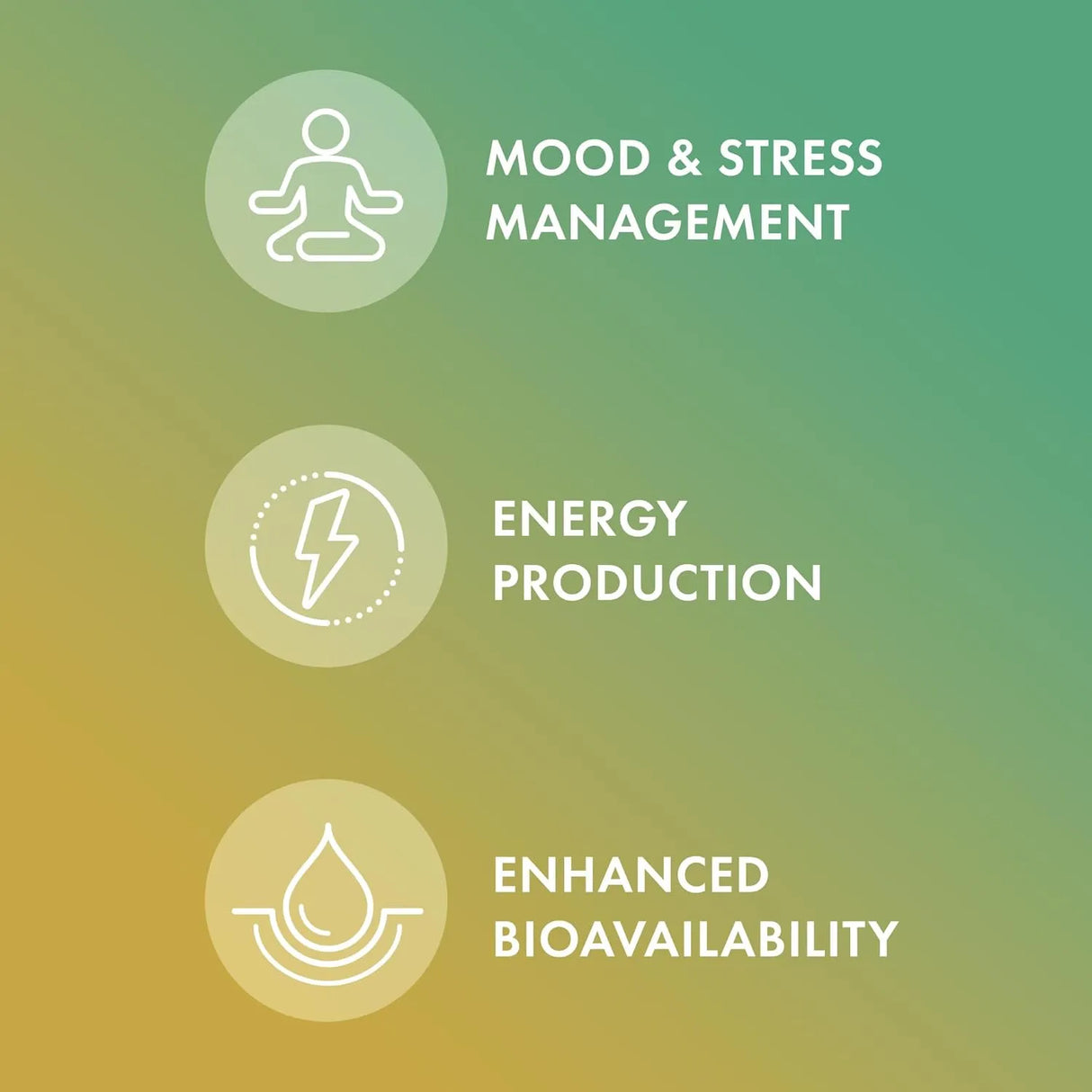 DR MERCOLA - Dr. Mercola Vitamin B Complex 180 Capsulas - The Red Vitamin MX - Suplementos Alimenticios - {{ shop.shopifyCountryName }}