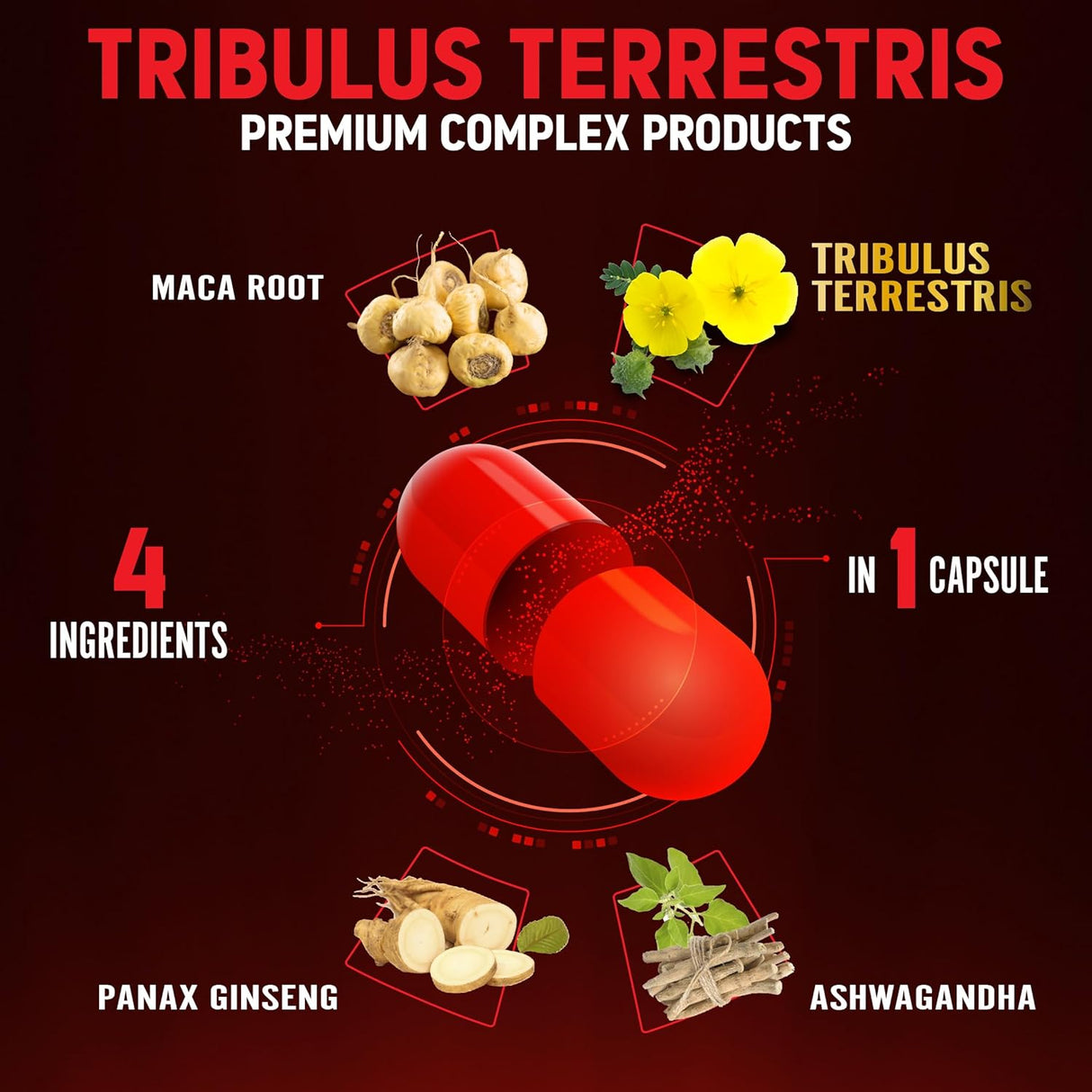 Zolotus Premium Tribulus Terrestris Maca 90 Capsulas