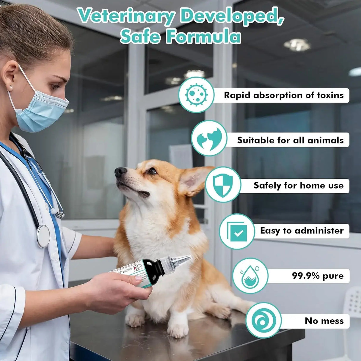 ROZJOVU - ROZJOVU Activated Charcoal Gel for Dogs for Poisoning 100Ml. - The Red Vitamin MX - Medicamentos Sin Receta Para Perros - {{ shop.shopifyCountryName }}