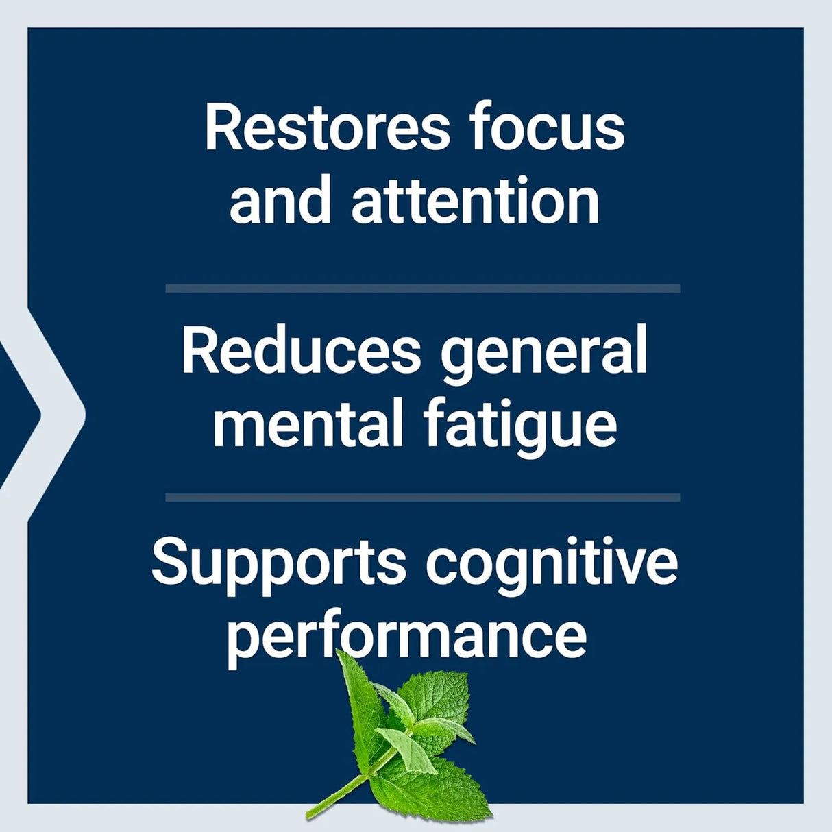 LIFE EXTENSION - Life Extension Brain Fog Relief 30 Capsulas Blandas - The Red Vitamin MX - Suplementos Alimenticios - {{ shop.shopifyCountryName }}