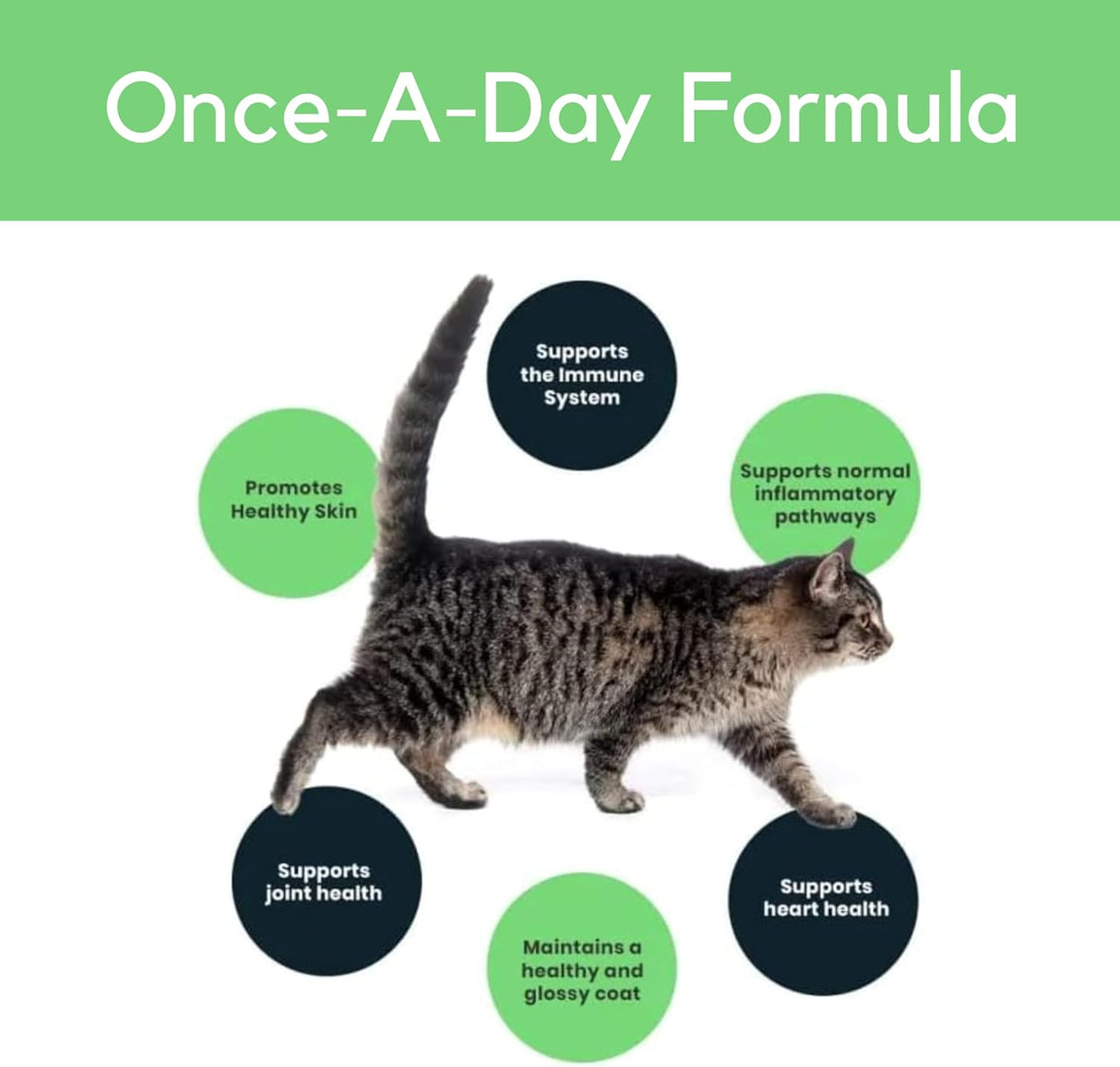 PURRFECTLY Omega-3 Fish Oil for Cats 4 Fl.Oz.
