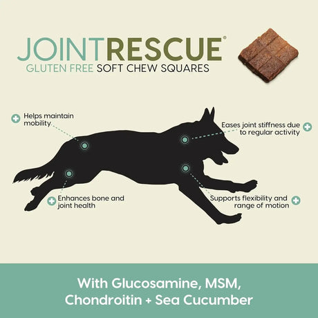 ARK NATURALS - Ark Naturals Joint Rescue Dog Chew Lamb Flavor 9 Oz. - The Red Vitamin MX - Cuidado De Cadera Y Articulaciones Para Perros - {{ shop.shopifyCountryName }}
