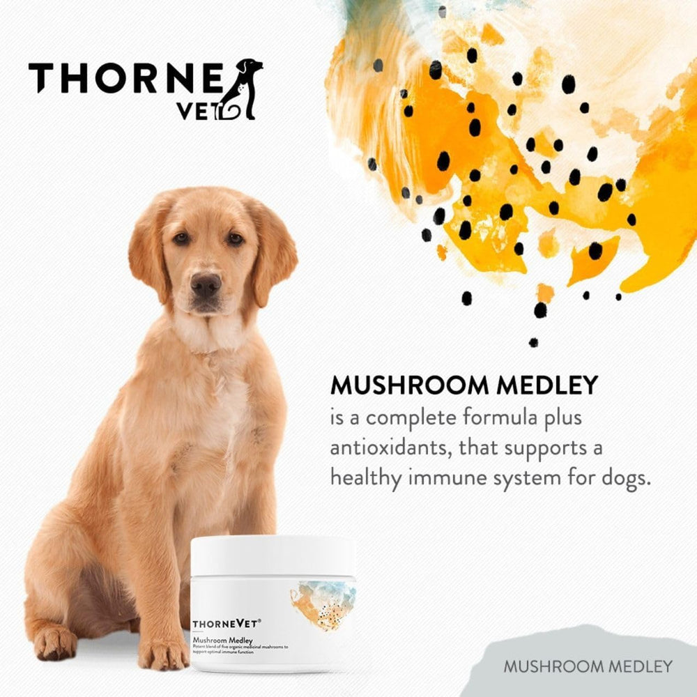 THORNE RESEARCH - ThorneVet Mushroom Medley for Dogs 120 Servicios 60Gr. - The Red Vitamin MX - Suplementos Herbales Para Perros - {{ shop.shopifyCountryName }}