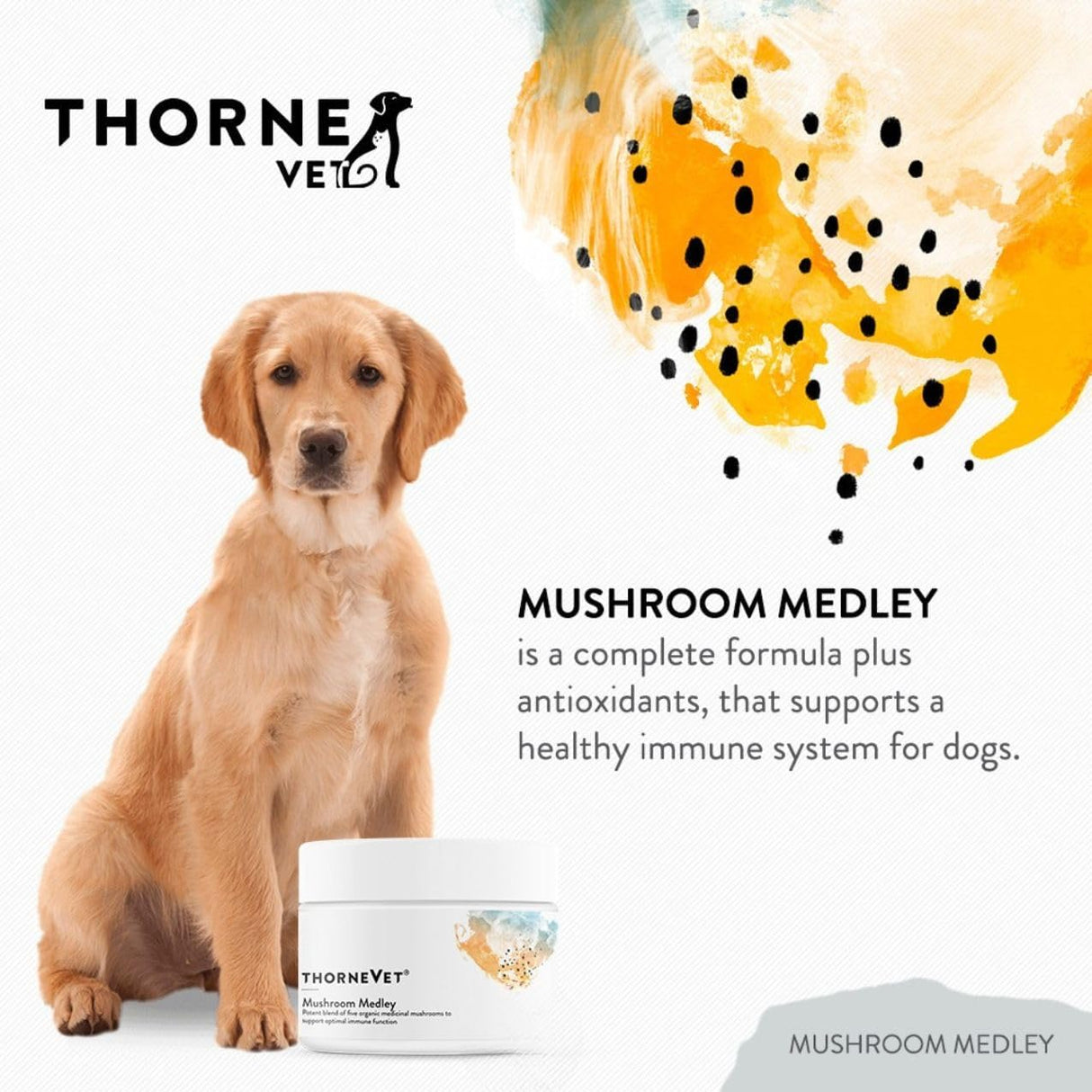THORNE RESEARCH - ThorneVet Mushroom Medley for Dogs 120 Servicios 60Gr. - The Red Vitamin MX - Suplementos Herbales Para Perros - {{ shop.shopifyCountryName }}