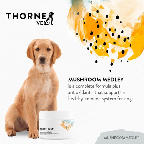 THORNE RESEARCH - ThorneVet Mushroom Medley for Dogs 120 Servicios 60Gr. - The Red Vitamin MX - Suplementos Herbales Para Perros - {{ shop.shopifyCountryName }}