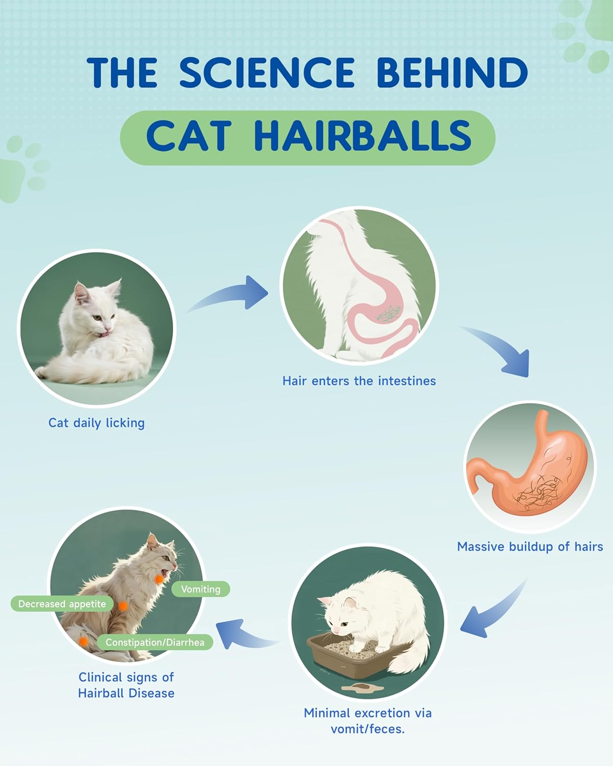 IRALUN Hairball Treatment for Cats 2 Fl.Oz.