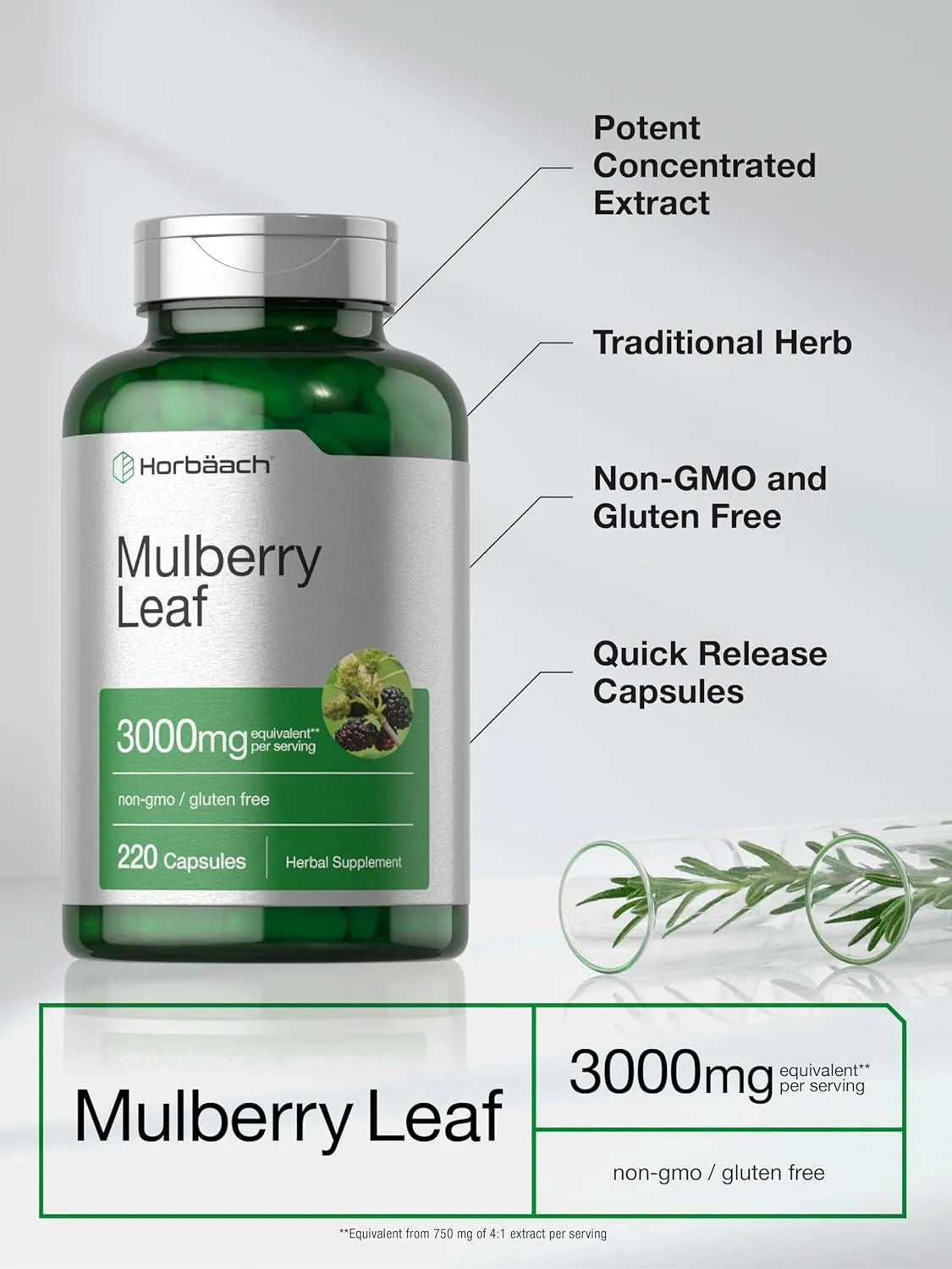 HORBAACH - Horbaach Mulberry Leaf Extract 3000Mg. 220 Capsulas - The Red Vitamin MX - Suplementos Alimenticios - {{ shop.shopifyCountryName }}