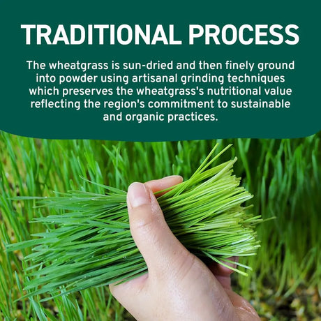 HANDPICK - HANDPICK USDA Organic Wheatgrass Powder 283Gr. - The Red Vitamin MX - Suplementos Alimenticios - {{ shop.shopifyCountryName }}