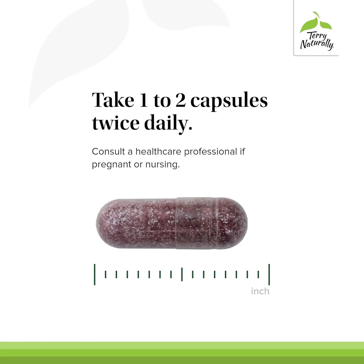 TERRY NATURALLY - Terry Naturally Tart Cherry 120 Capsulas - The Red Vitamin MX - Suplementos Alimenticios - {{ shop.shopifyCountryName }}