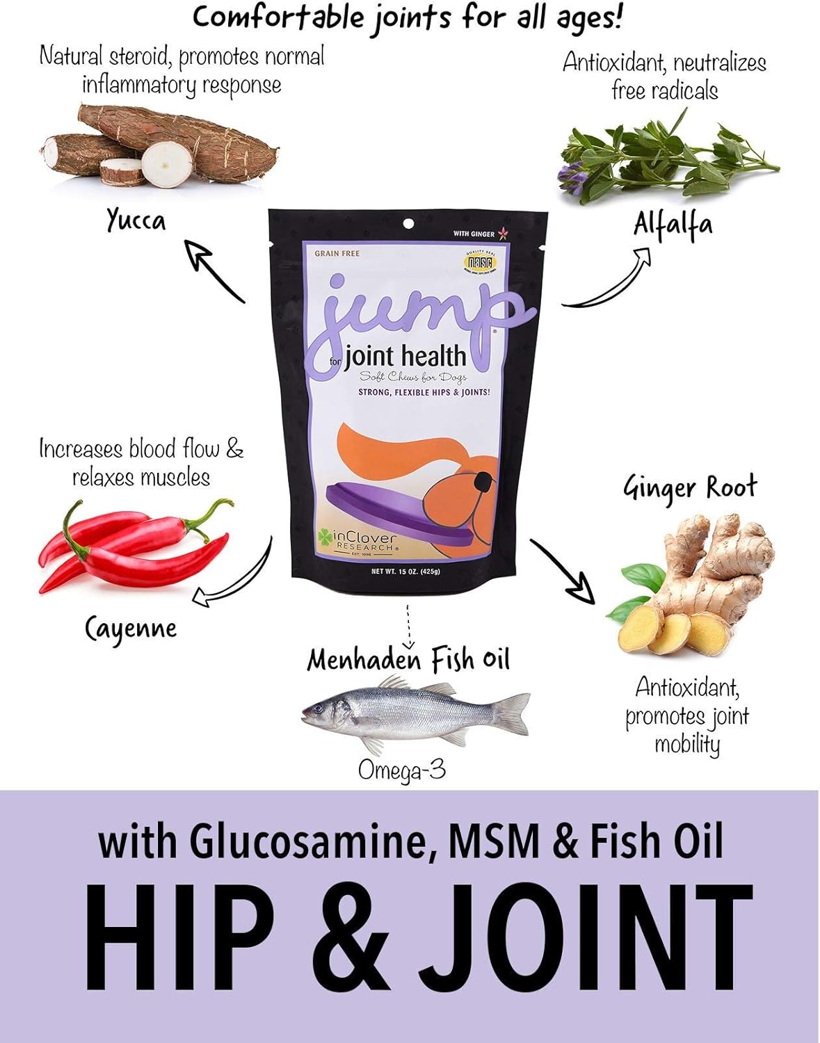 In Clover Jump Soft Chews for Daily Joint Care and Endurance Support for Dogs 425Gr.