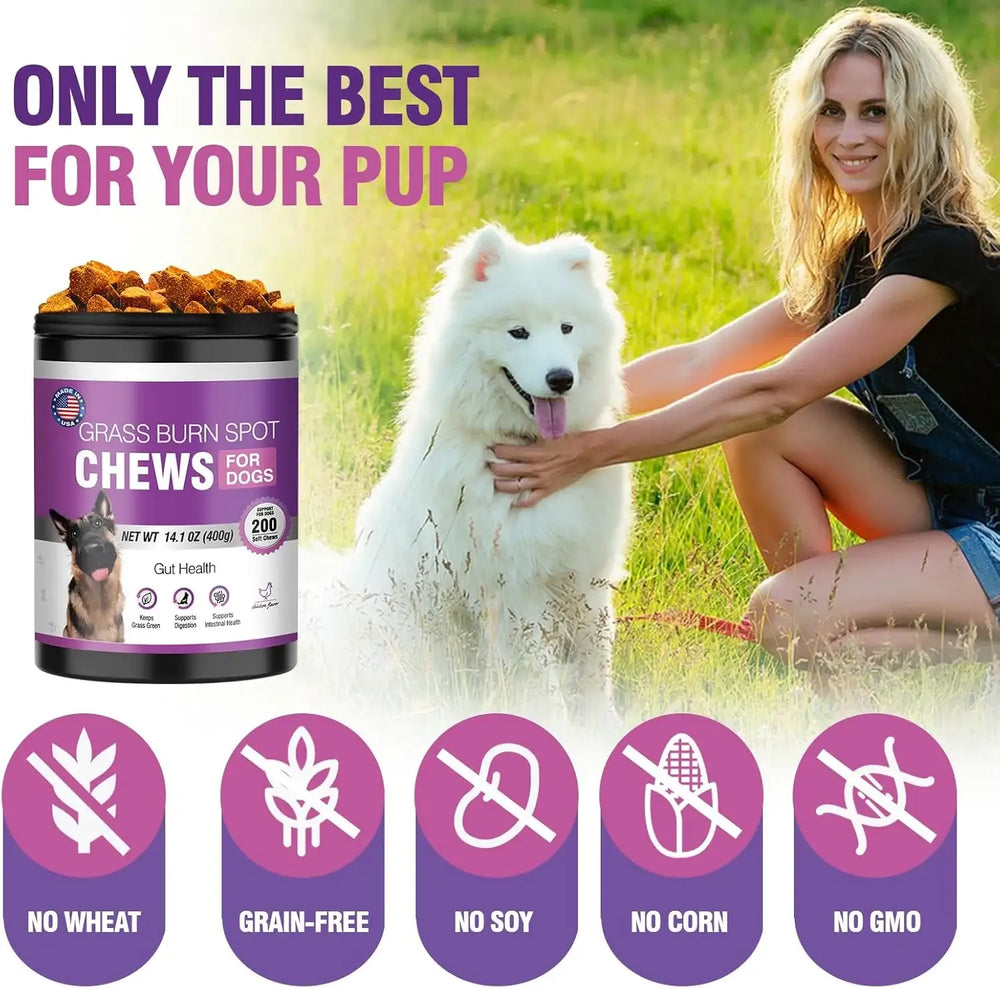 TTLXRL - TTLXRL Grass Burn Spot Chews for Dogs 200 Masticables - The Red Vitamin MX - Salud De Tracto Urinario Para Perros - {{ shop.shopifyCountryName }}