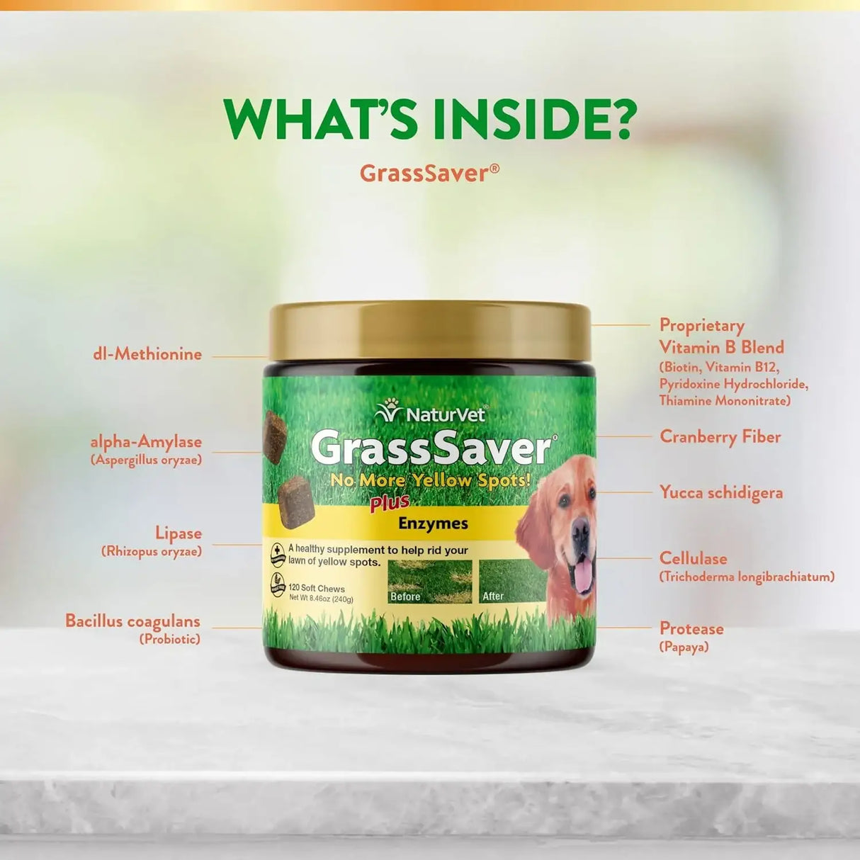NATURVET - NaturVet GrassSaver Supplement for Dogs 120 Masticables - The Red Vitamin MX - Salud De Tracto Urinario Para Perros - {{ shop.shopifyCountryName }}