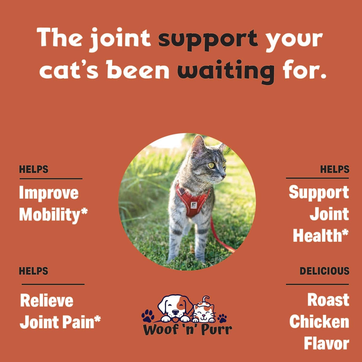 Woof 'n' Purr Glucosamine for Cats 1 Fl.Oz.
