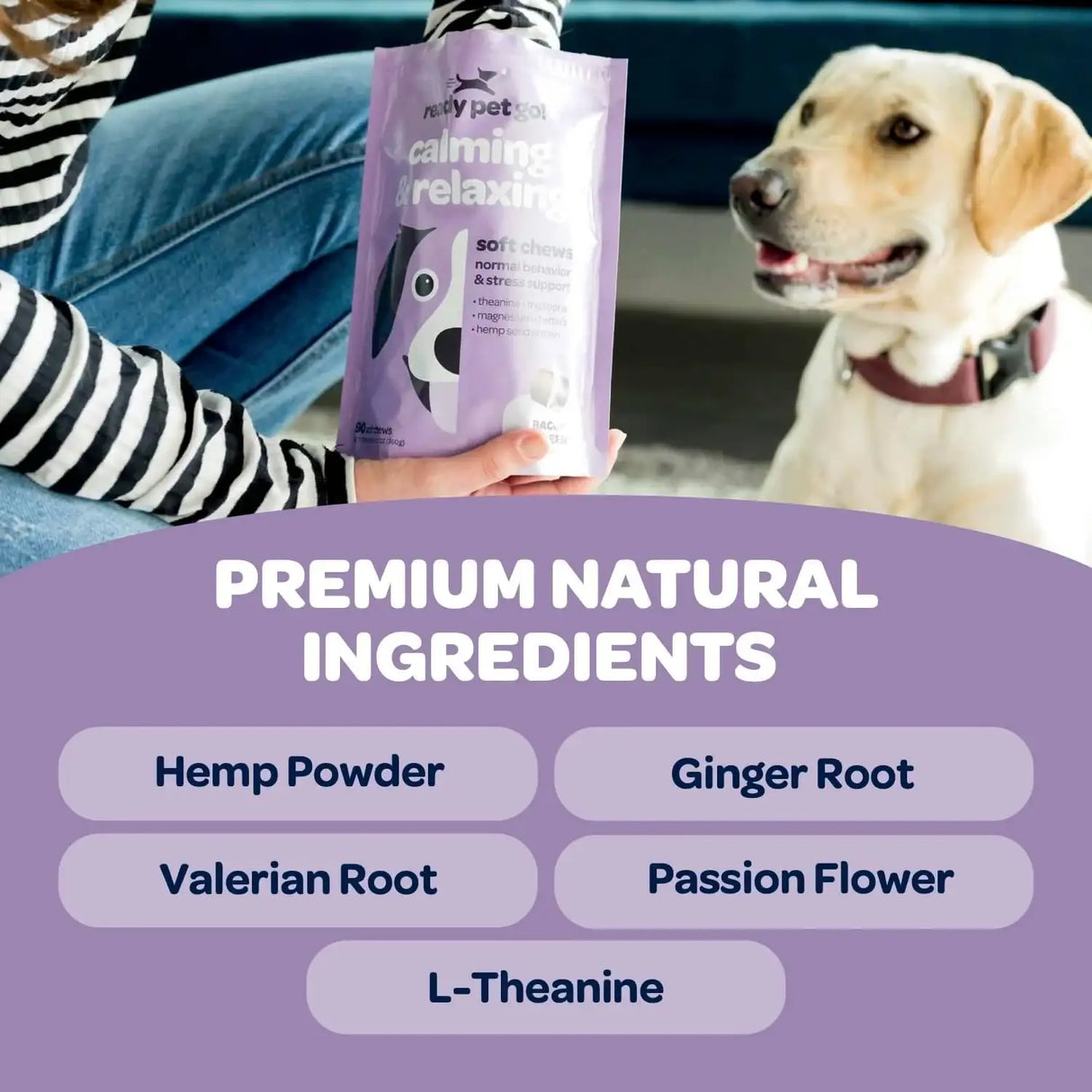 READY PET GO - Ready Pet Go! Calming & Relaxing Chews for Dogs 90 Masticables - The Red Vitamin MX - Relajantes Para Perros - {{ shop.shopifyCountryName }}