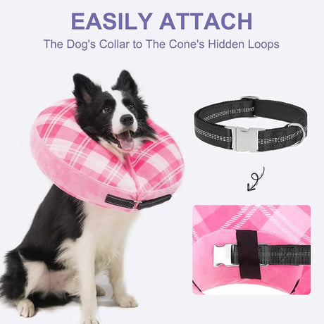 BEAUTYZOO - BEAUTYZOO Inflatable Donut Collar PINK LARGE - The Red Vitamin MX - Collares y Conos De Recuperación Para Perros - {{ shop.shopifyCountryName }}