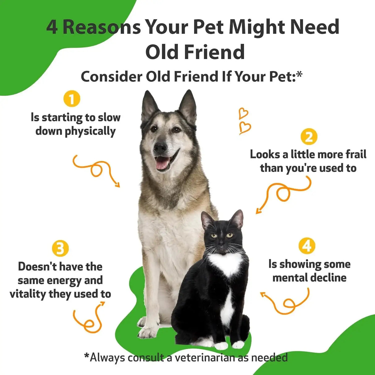 PET WELLBEING - Pet Wellbeing Old Friend for Senior Dogs 4 Fl.Oz. - The Red Vitamin MX - Multivitamínicos Para Perros - {{ shop.shopifyCountryName }}