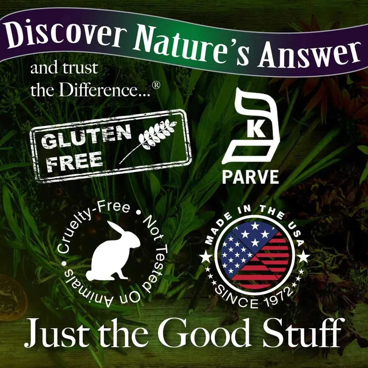 NATURE´S ANSWER - Nature's Answer Cinnamon Bark 1 Fl.Oz. - The Red Vitamin MX - Suplementos Alimenticios - {{ shop.shopifyCountryName }}