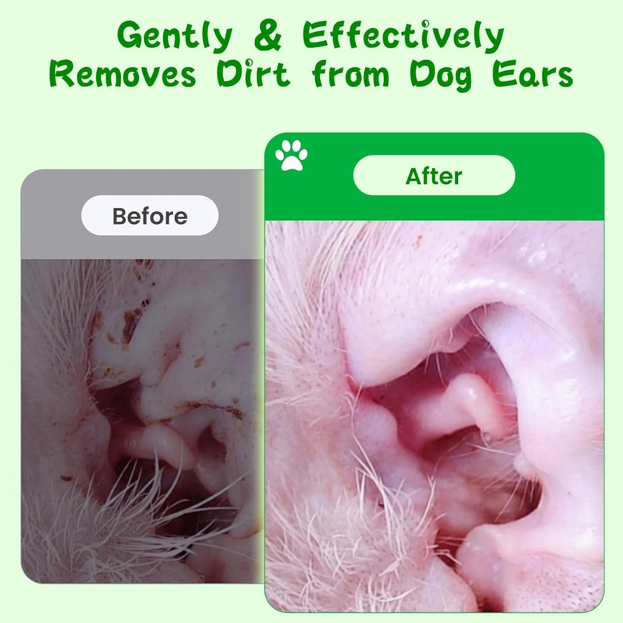 TINIOEY - Tinioey Dog Ear Wipes for Dogs 150 Toallitas - The Red Vitamin MX - Cuidado Del Oído De Perros - {{ shop.shopifyCountryName }}