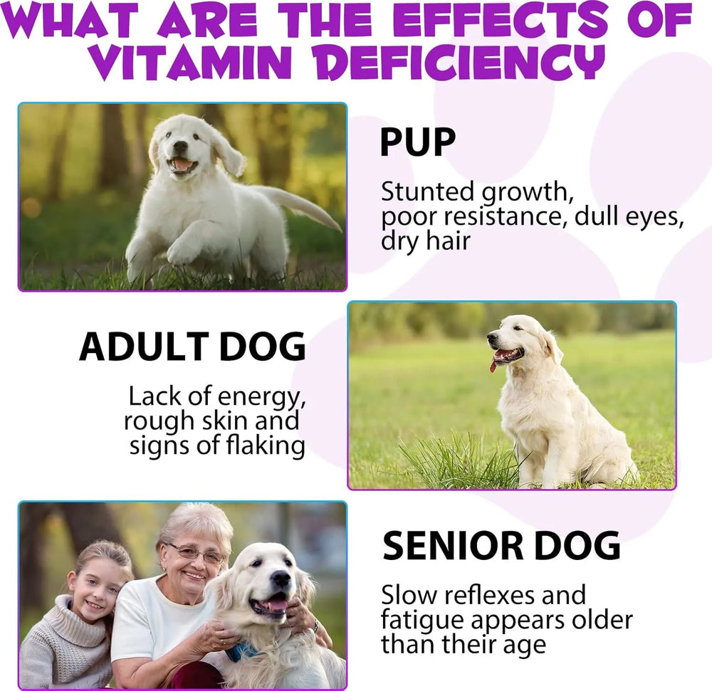 OIMMAL - OIMMAL 15 in 1 Dog Multivitamin Drops for Dogs 2 Fl.Oz. - The Red Vitamin MX - Multivitamínicos Para Perros - {{ shop.shopifyCountryName }}