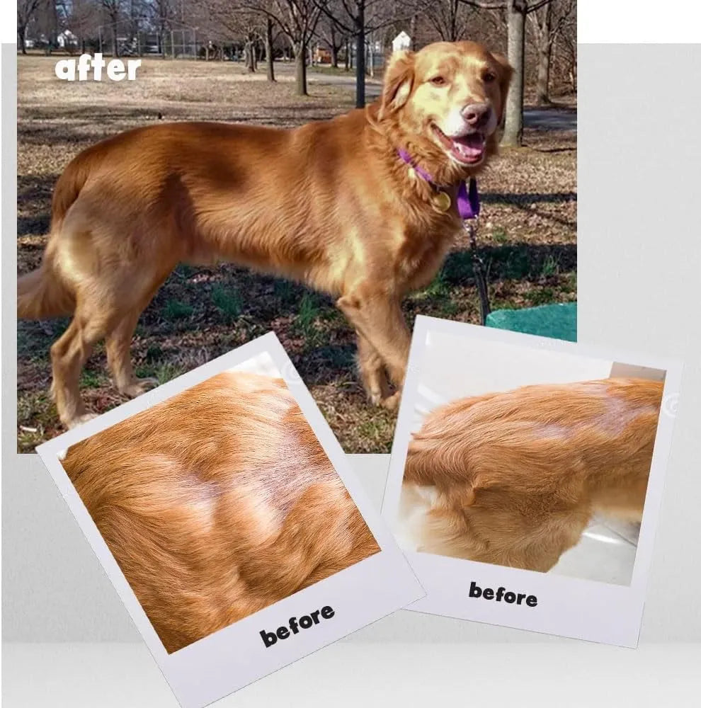 OMEGA-CAPS ES - OMEGA-CAPS ES Omega-Caps High Potency Snip Tips for Medium to Large Breeds 60 Capsulas - The Red Vitamin MX - Aceite De Pescado Para Perros - {{ shop.shopifyCountryName }}