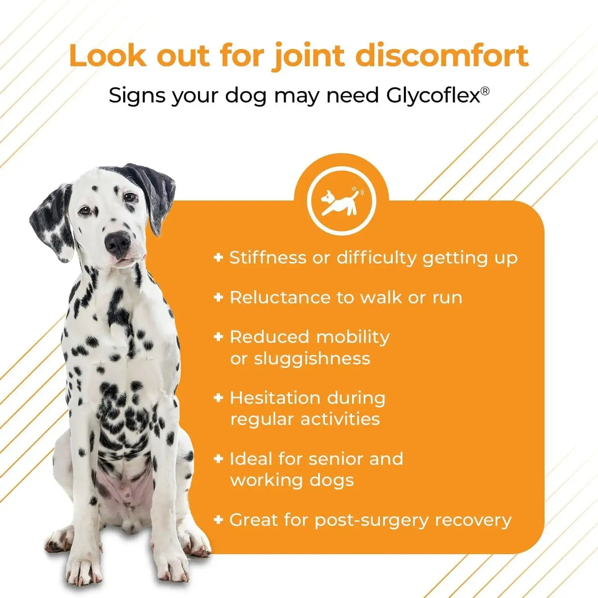 VETRISCIENCE - VetriScience Glycoflex 3 Clinically Proven Hip and Joint Supplement for Dogs 120 Tabletas Masticables - The Red Vitamin MX - Cuidado De Cadera Y Articulaciones Para Perros - {{ shop.shopifyCountryName }}