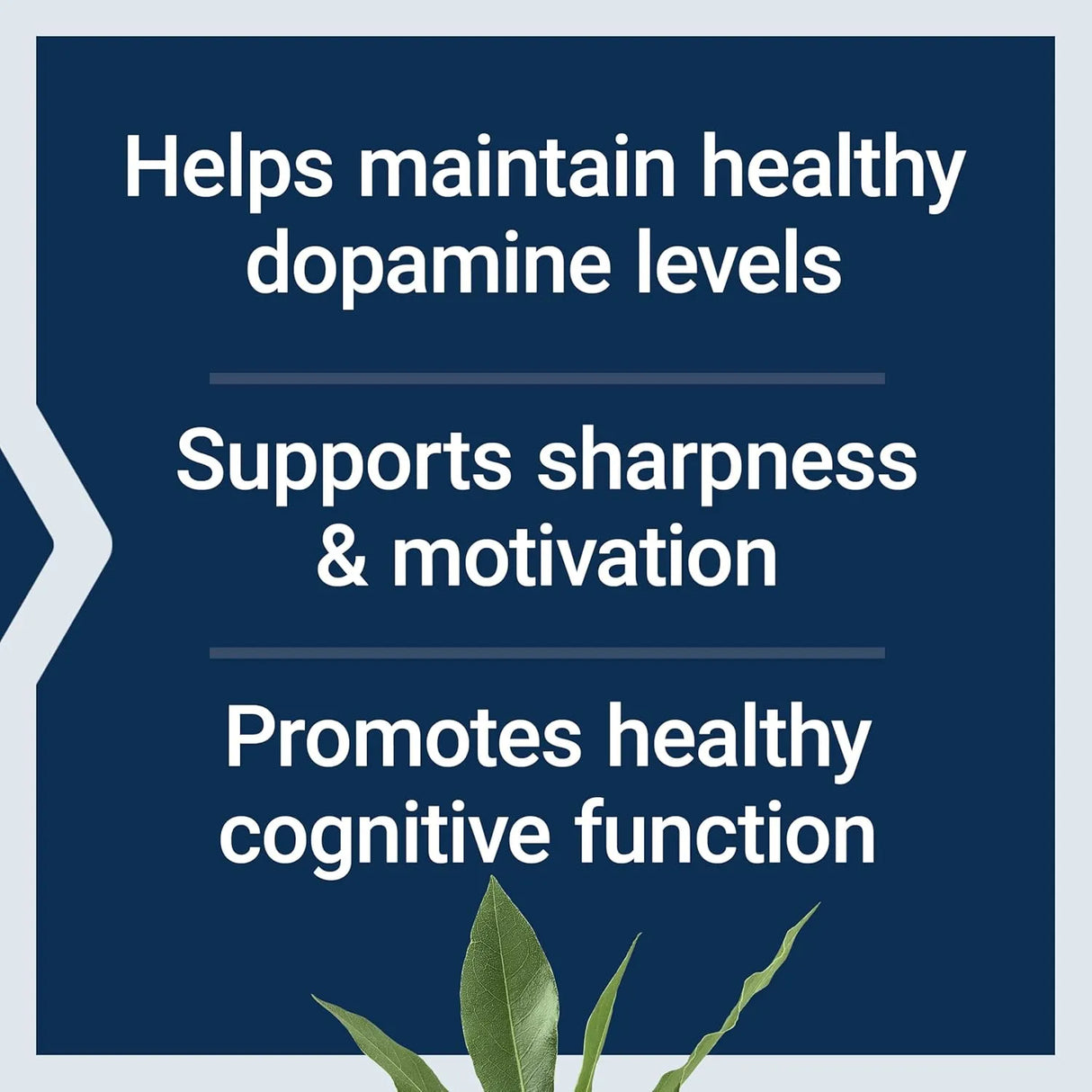 LIFE EXTENSION - Life Extension Dopamine Advantage 30 Capsulas - The Red Vitamin MX - Suplementos Alimenticios - {{ shop.shopifyCountryName }}