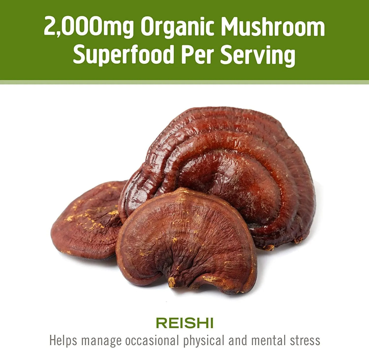 OM - OM MUSHROOM SUPERFOOD Reishi Mushroom 90 Capsulas - The Red Vitamin MX - Suplementos Alimenticios - {{ shop.shopifyCountryName }}