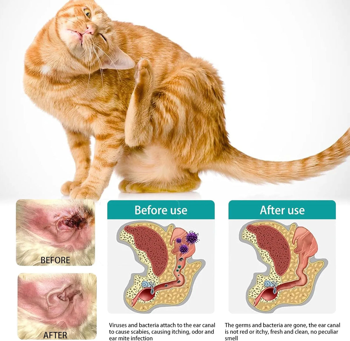 VONDER - VONDER Ear Cleaner Finger Wipes for Dogs & Cats 50 Toallitas - The Red Vitamin MX - Cuidado Del Oído De Perros - {{ shop.shopifyCountryName }}