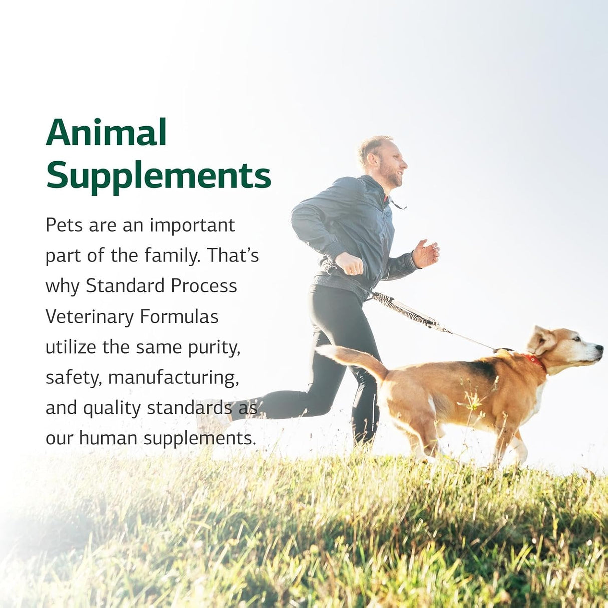 STANDARD PROCESS - Standard Process Canine Dermal Support Skin & Adrenal Gland Supplement 30Gr. - The Red Vitamin MX - Remedios Para La Picazón De Perros - {{ shop.shopifyCountryName }}