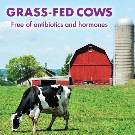 BLUEBONNET NUTRITION - Bluebonnet Nutrition Whey Protein Isolate Powder Whey from Grass Fed Cows Unflavored 992Gr. - The Red Vitamin MX - Suplementos Alimenticios - {{ shop.shopifyCountryName }}