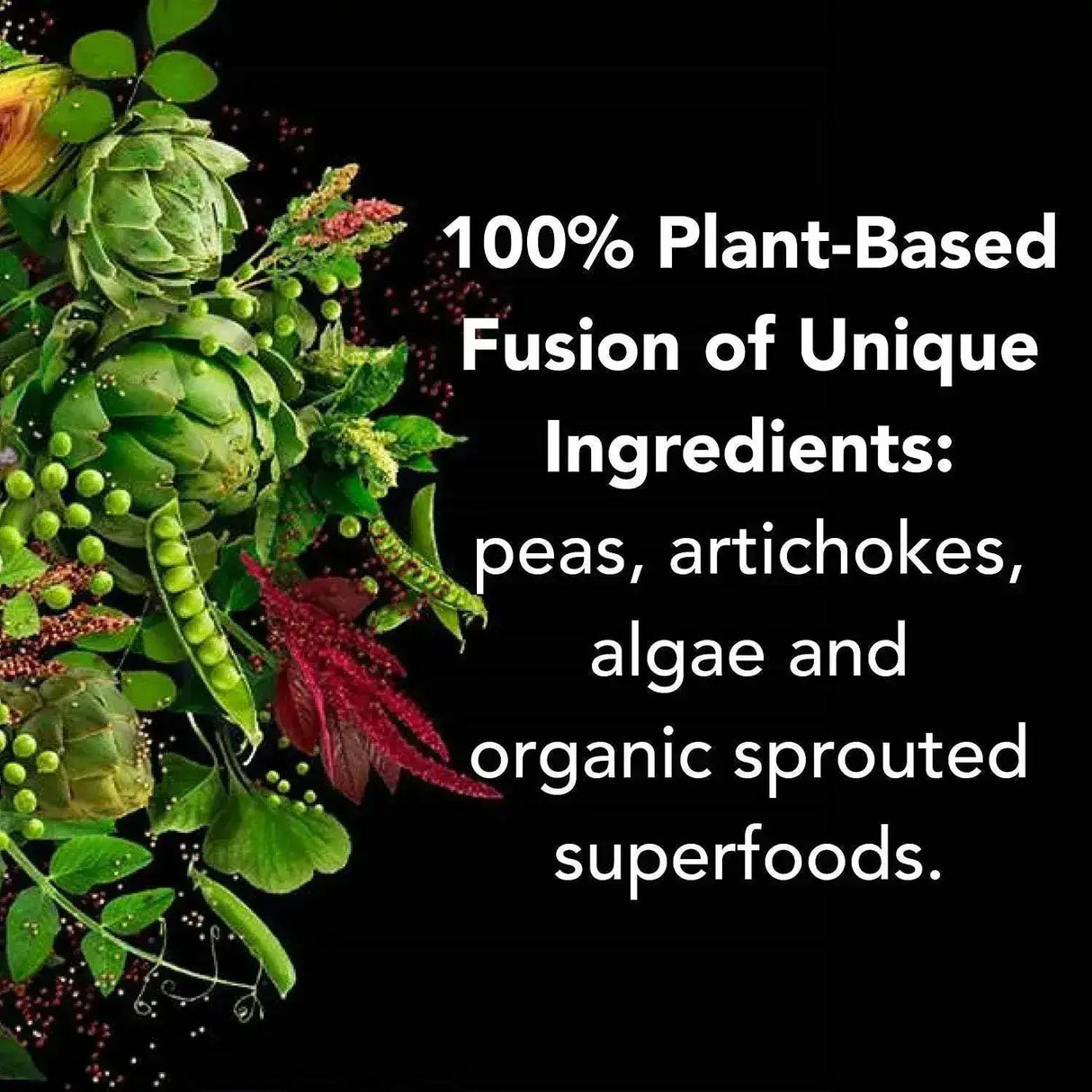 PLANTFUSION - PlantFusion Complete Vegan Protein Powder Chocolate 900Gr. - The Red Vitamin MX - Suplementos Alimenticios - {{ shop.shopifyCountryName }}