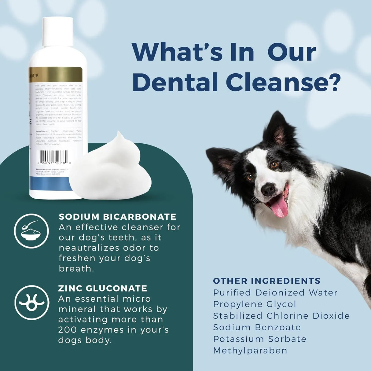 PETSCY - Petscy Dental Cleanse All-Natural Cat & Dog 8 Oz. - The Red Vitamin MX - Cuidado Dental Para Perros - {{ shop.shopifyCountryName }}