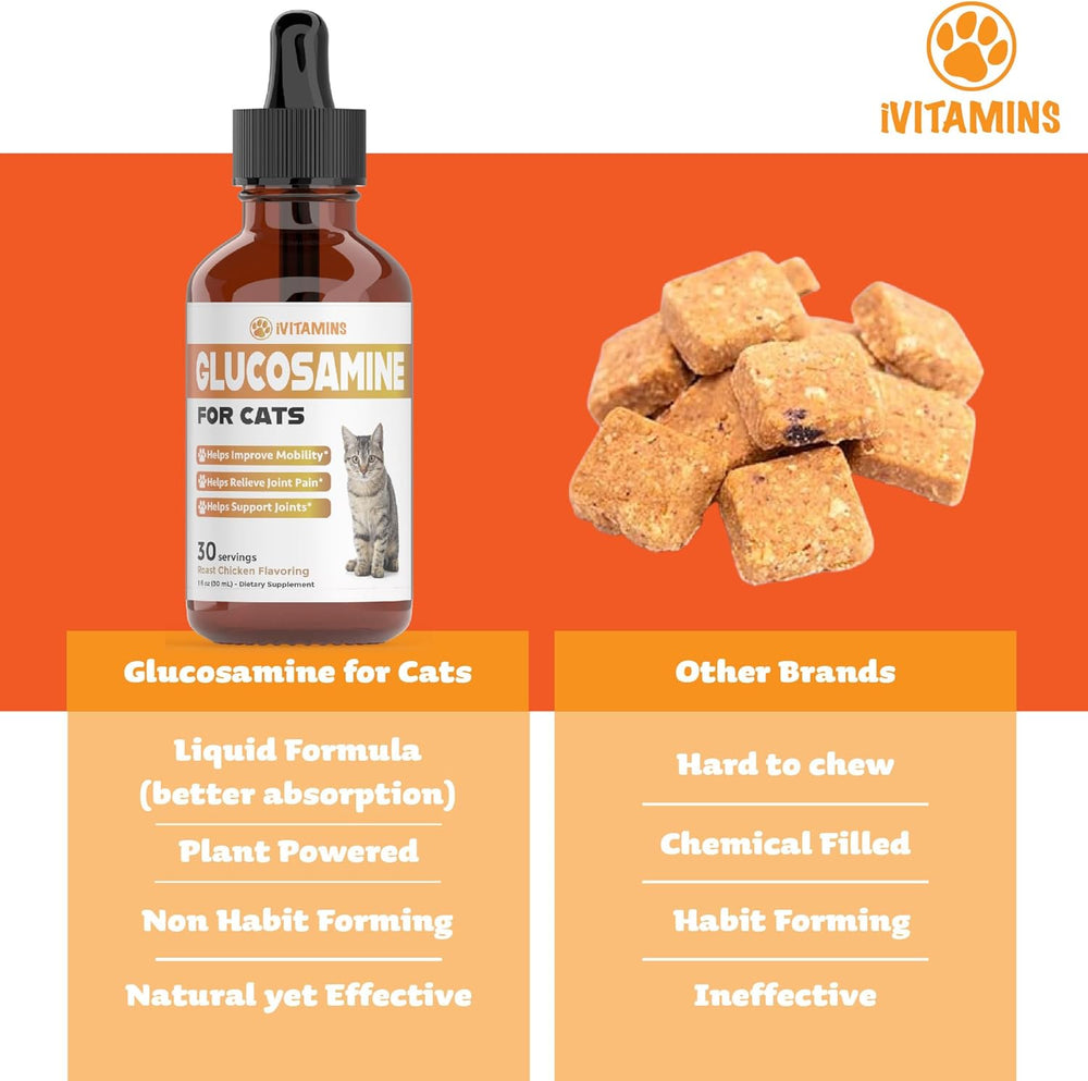 iVitamins Glucosamine for Cats Chicken Flavor 1 Fl.Oz.