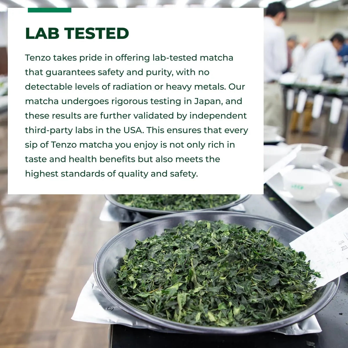 TENZO - Tenzo Matcha Green Tea Powder 400Gr. - The Red Vitamin MX - Suplementos Alimenticios - {{ shop.shopifyCountryName }}
