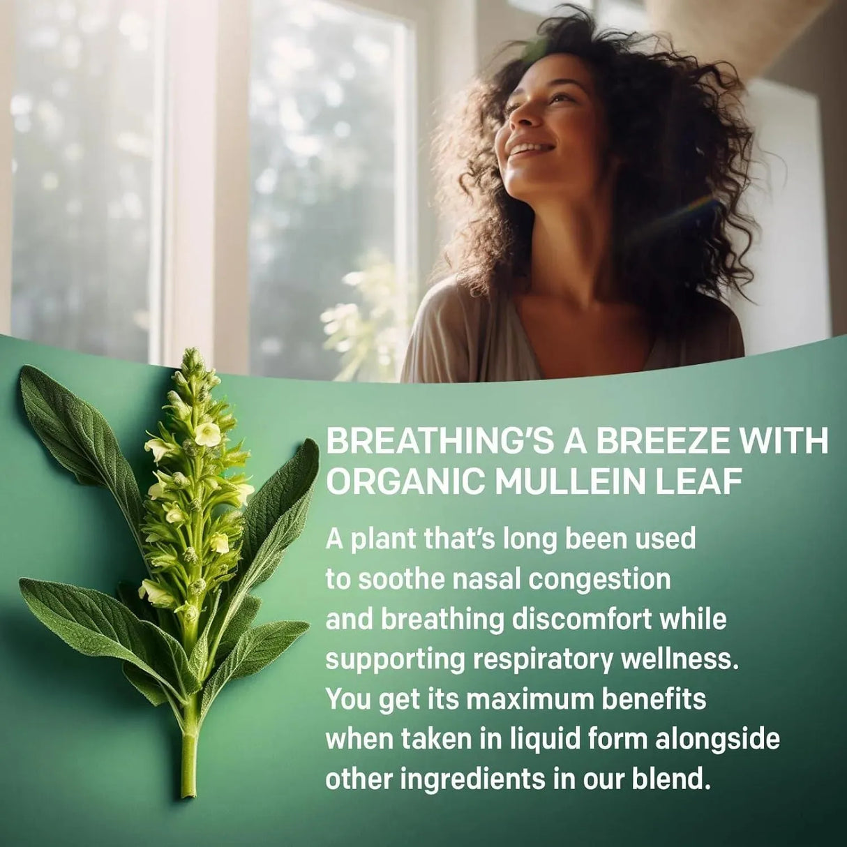 PRIMEMD - PrimeMD 5-in-1 Mullein Drops for Lungs 60Ml. 2 Pack - The Red Vitamin MX - Suplementos Alimenticios - {{ shop.shopifyCountryName }}