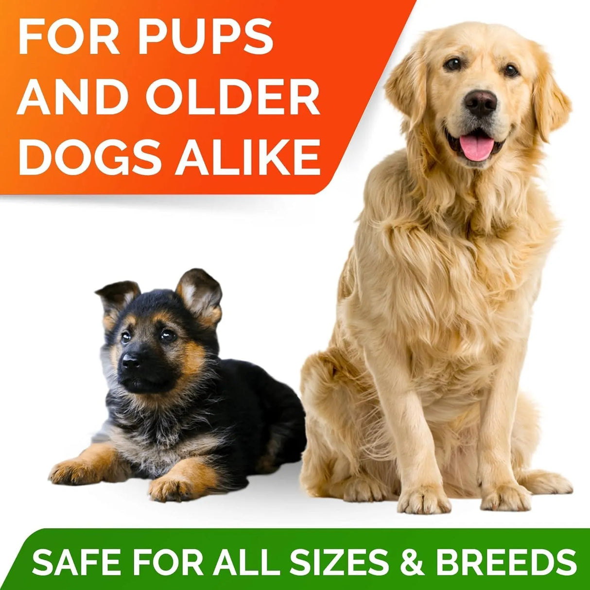 STRELLALAB - StrellaLab Omega 3 for Dogs 180 Masticables - The Red Vitamin MX - Aceite De Pescado Para Perros - {{ shop.shopifyCountryName }}