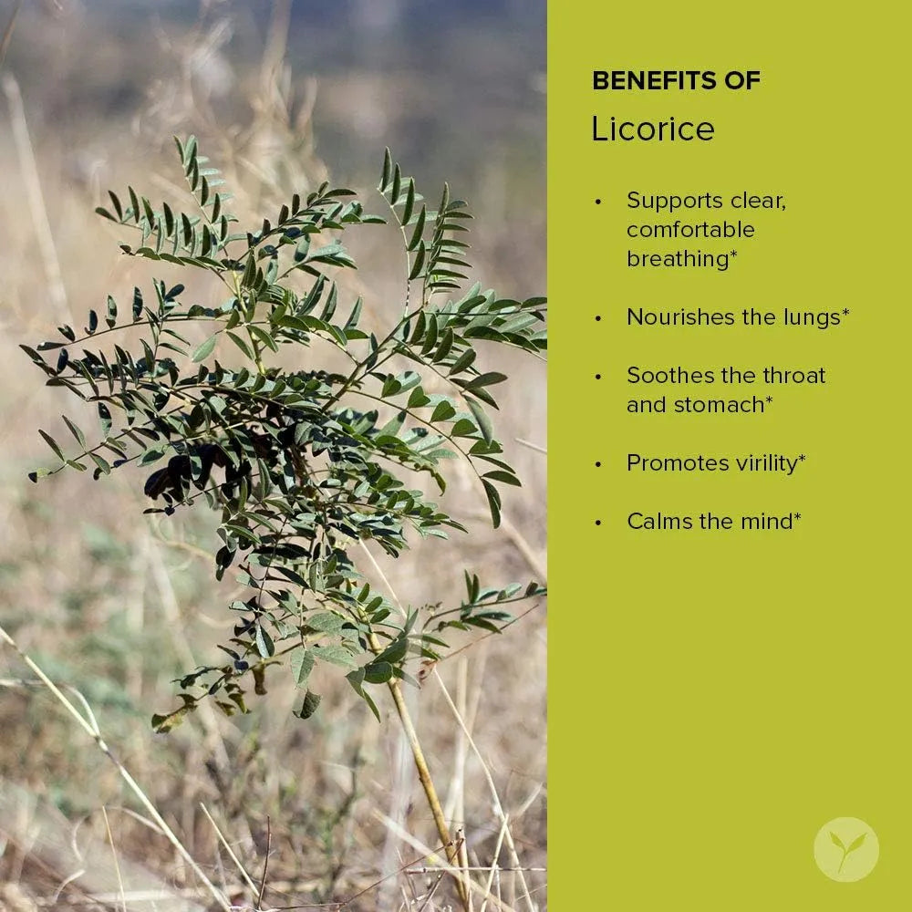 BANYAN - Banyan Botanicals Licorice Root Powder 227Gr. - The Red Vitamin MX - Suplementos Alimenticios - {{ shop.shopifyCountryName }}